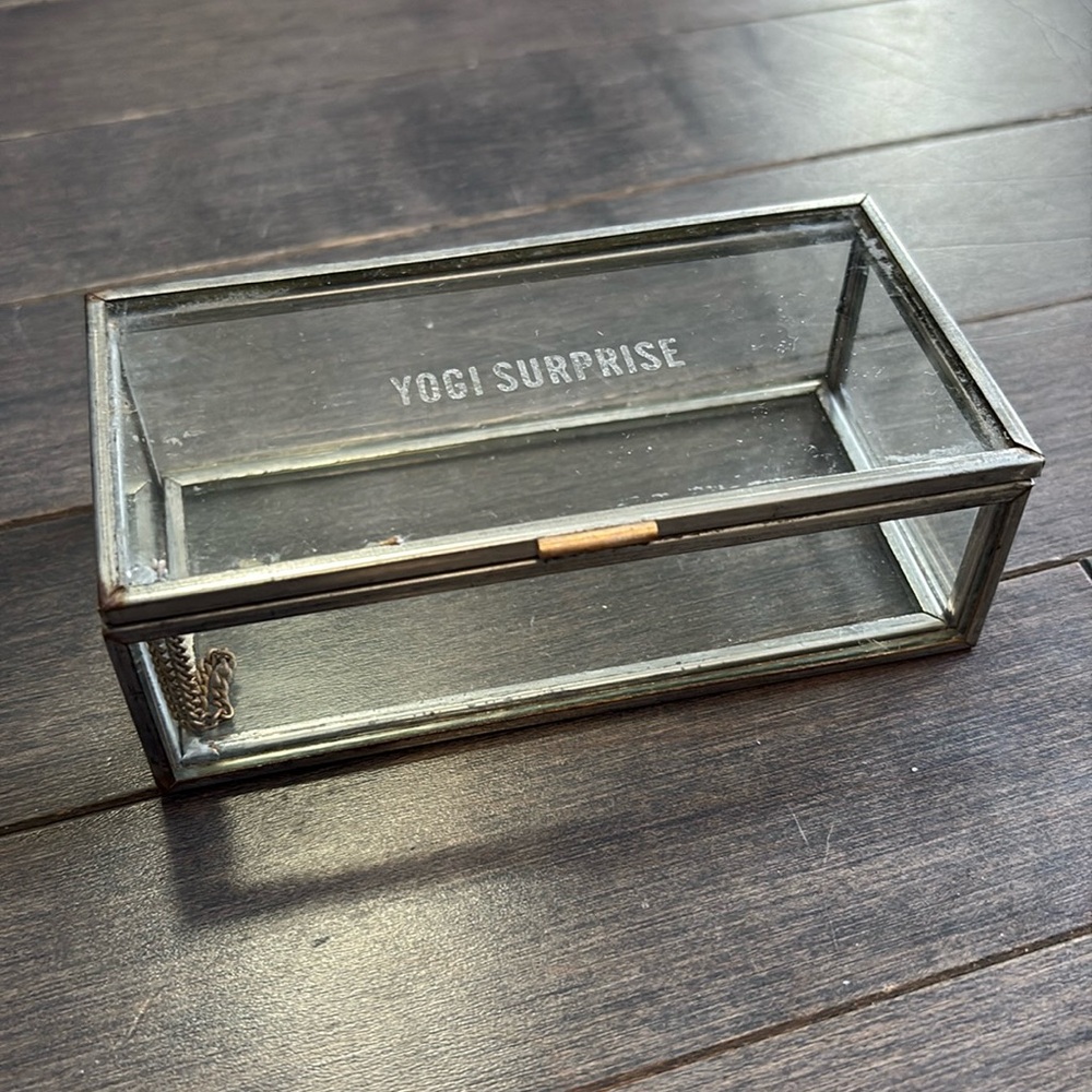 Yogi Surprise Glass Trinket Box